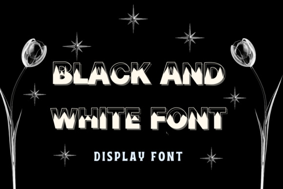 Black and White Font: A Bold Display Typeface for Modern Design